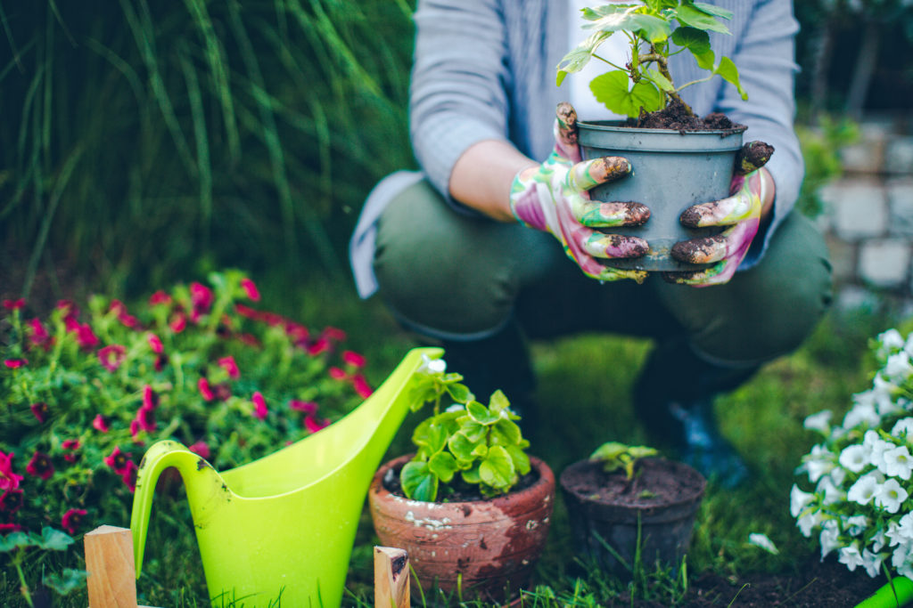 Portrait of mid-adult woman proudly showing her plants