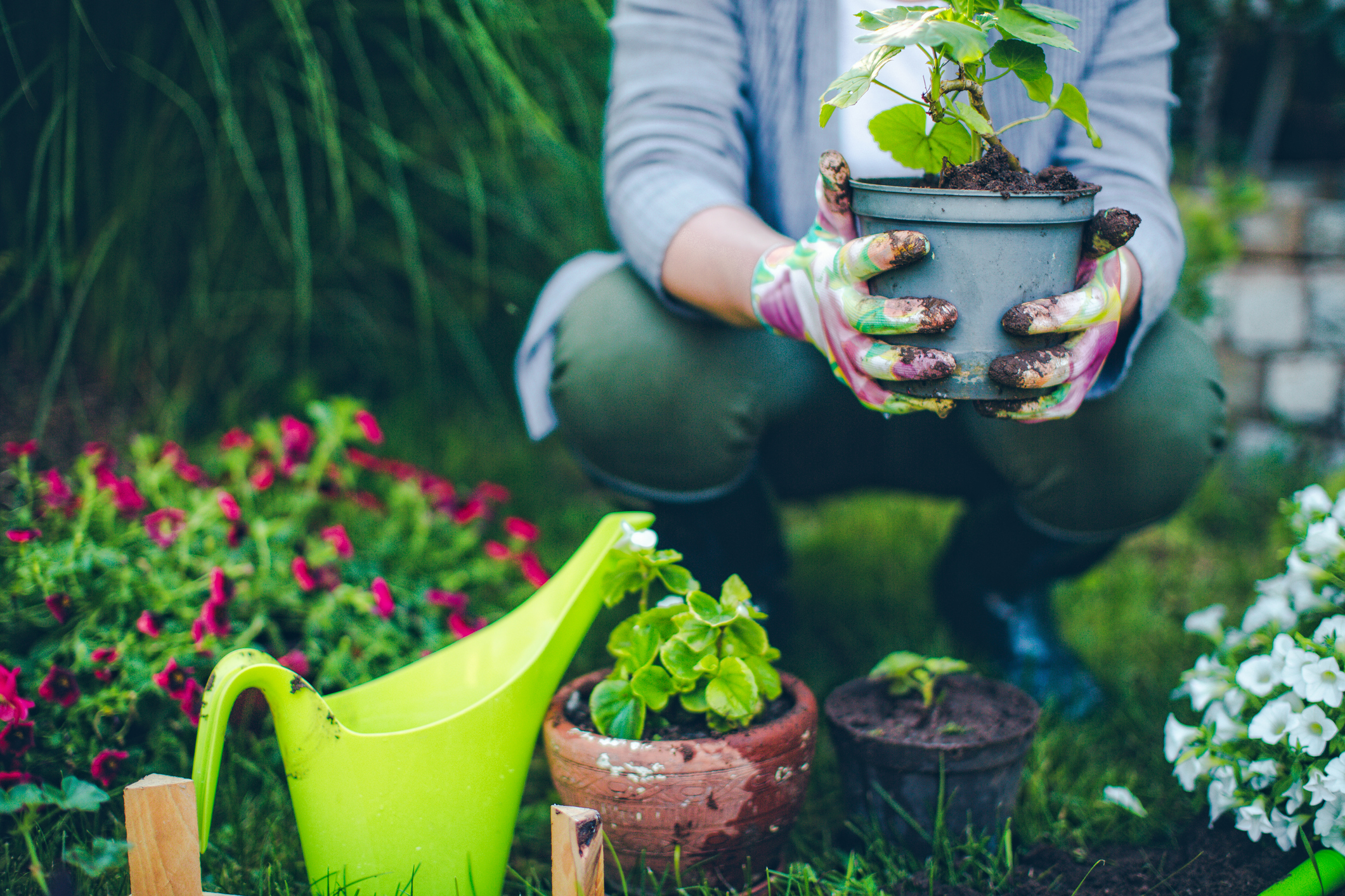 5 Easy Crafts for Seniors This Winter