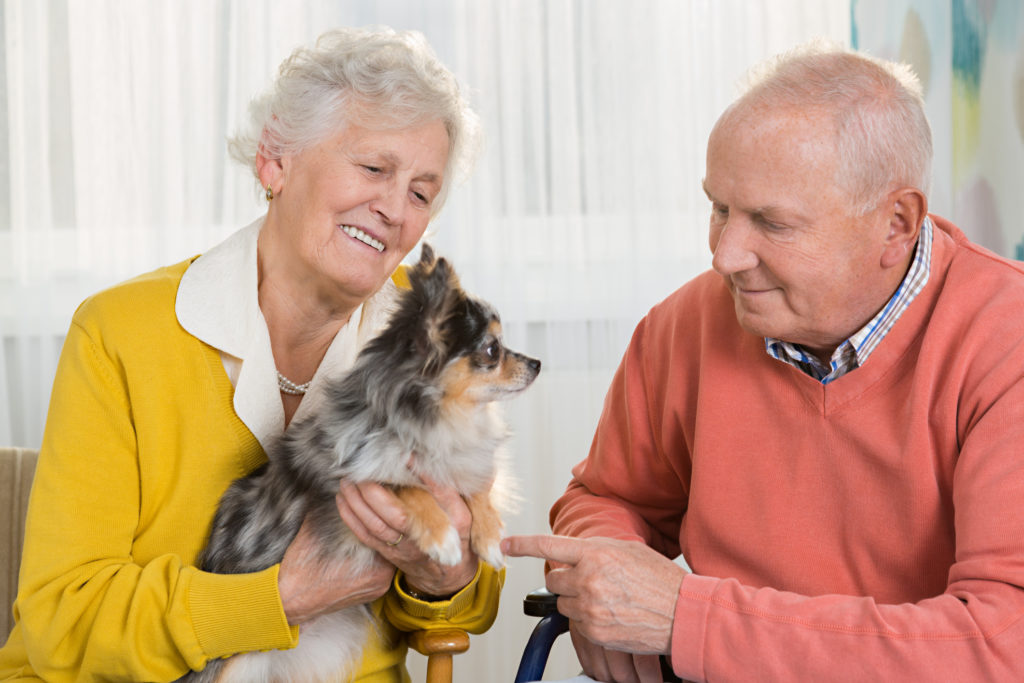Happy senior couple with little dog at home