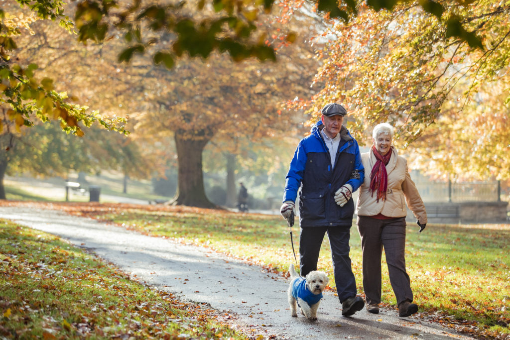 Senior man and woman walking small dog in the park in autumn. 