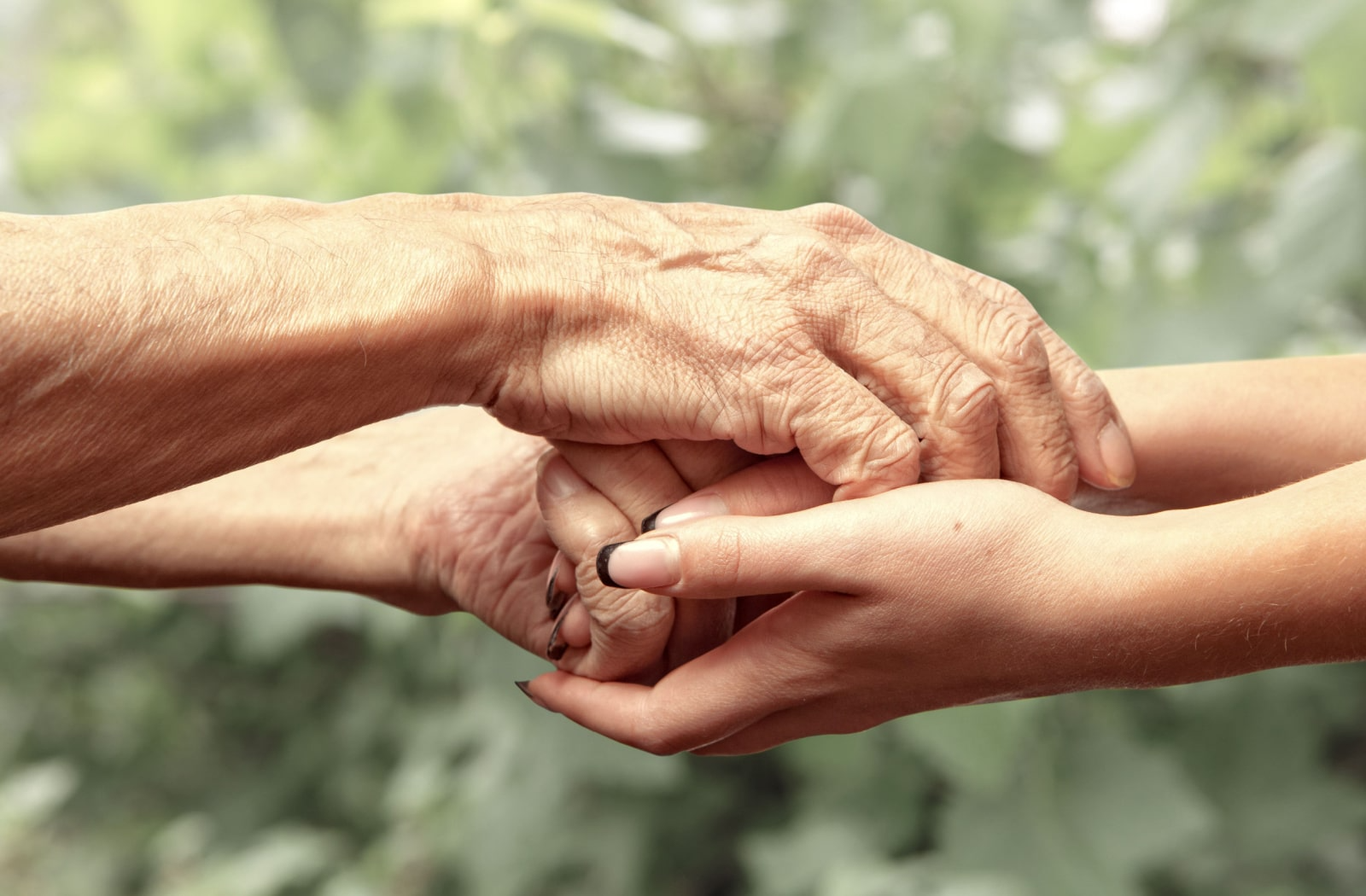 Grandchild holding hands with her grandparent.